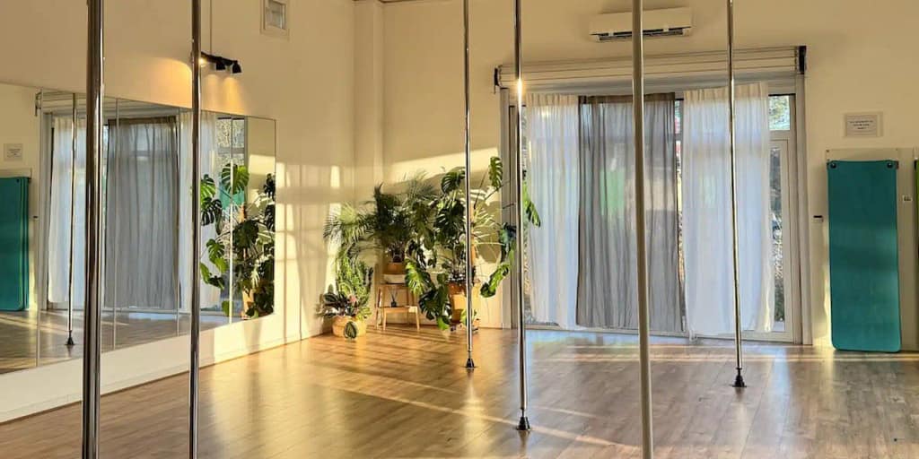 Studio de Pole Dance à Venelles (10 min d'Aix-en-Provence) - Tonic & Aerial Center - Ton école de pole dance à Aix-en-Provence et Venelles tonic-aerial-center-pole-dance-venelles-aix-en-provence-BIG-TAC-1