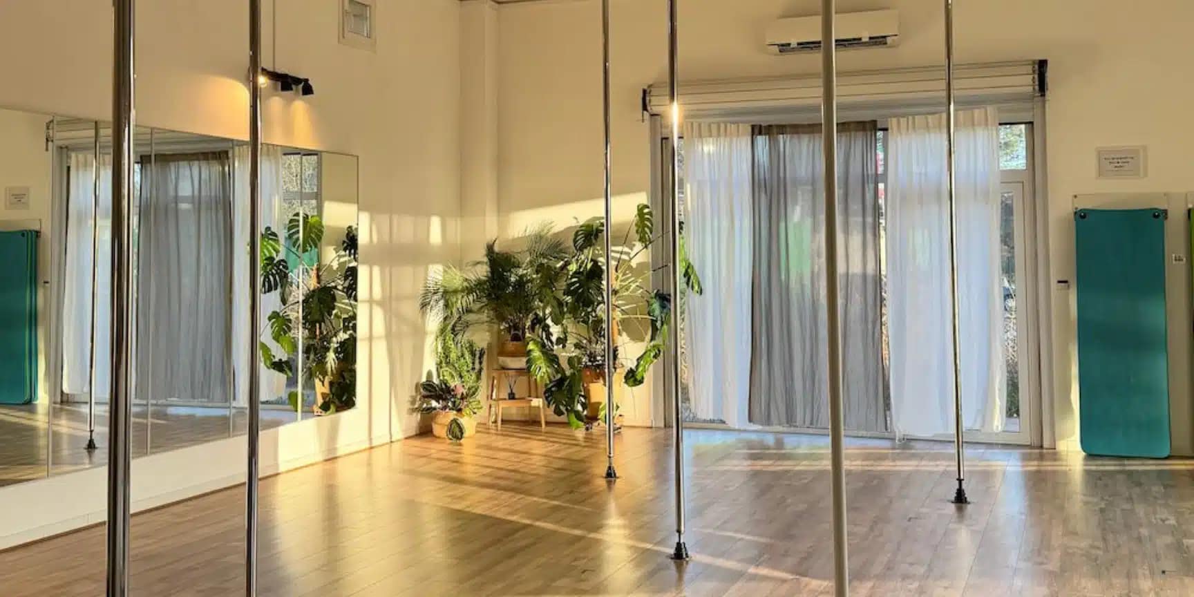 Nos studios - Tonic & Aerial Center - Ton école de pole dance à Aix-en-Provence et Venelles tonic-aerial-center-pole-dance-venelles-aix-en-provence-BIG-TAC-1